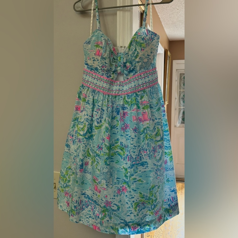 Lilly Pulitzer Kaitlyn Dress - What A Lovely Place. LIKE NEW. Size 10.
